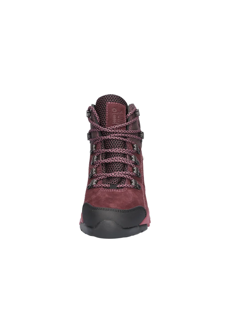 H-Amiata huckleberry