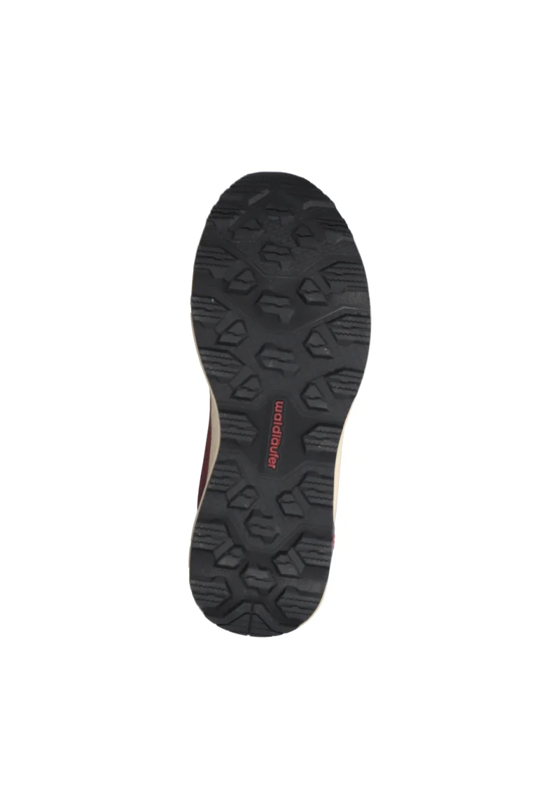 H-Milli berry