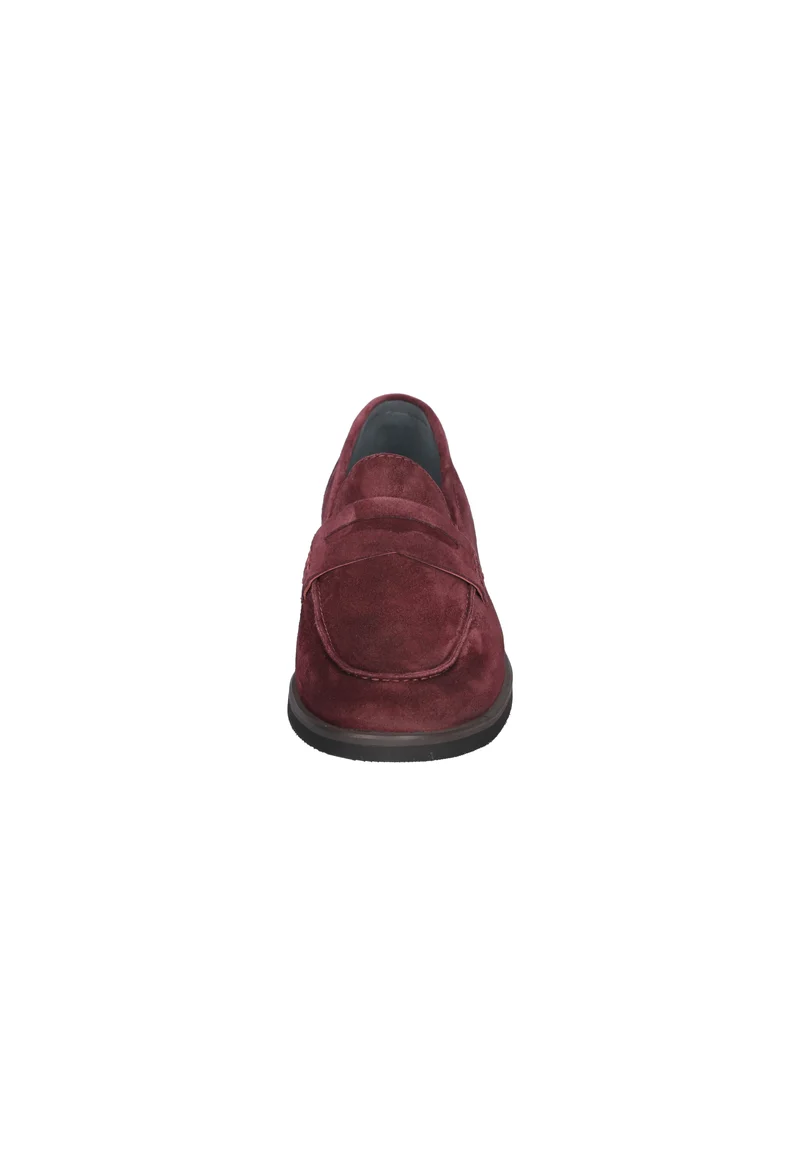 H-Aria bordo
