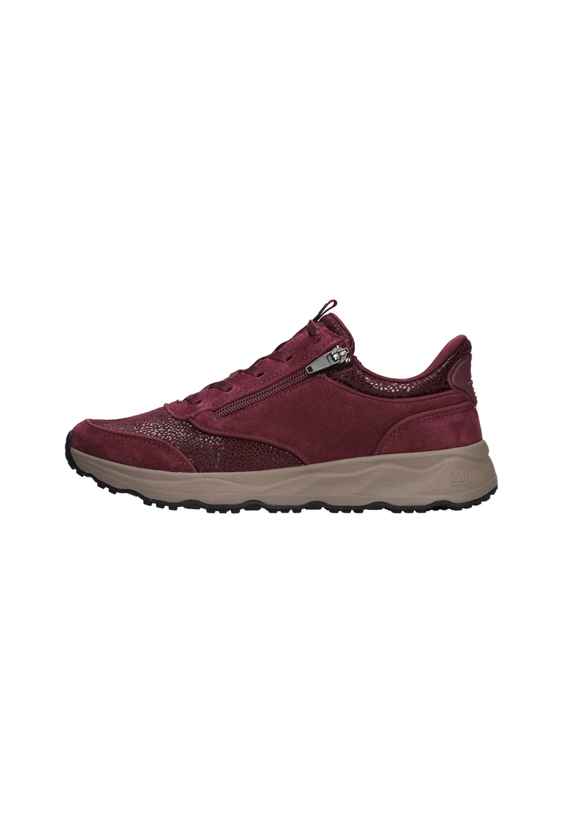 H-Tessi bordo