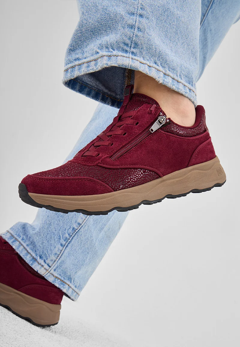 H-Tessi bordo