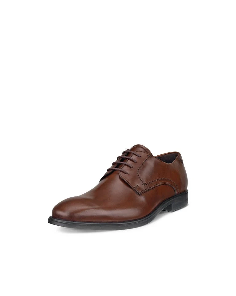 ECCO Herren Melbourne Derby-Schuh aus Leder | Braun