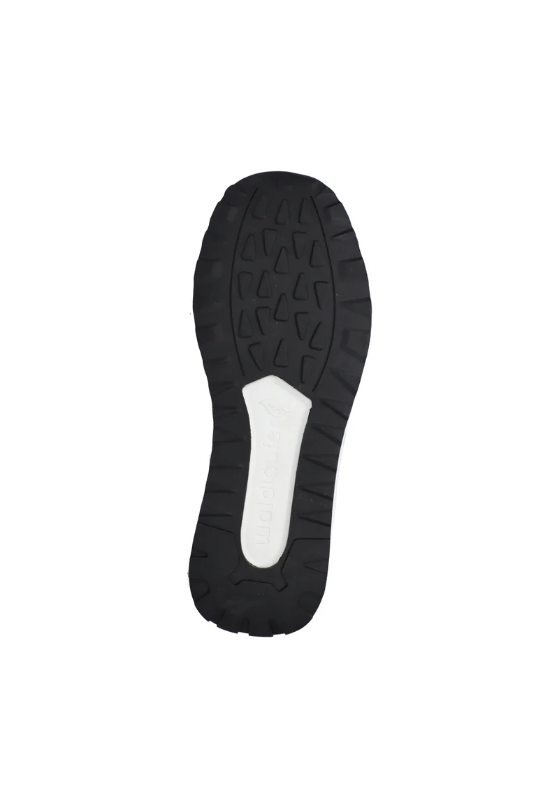 H-Leo grey white black