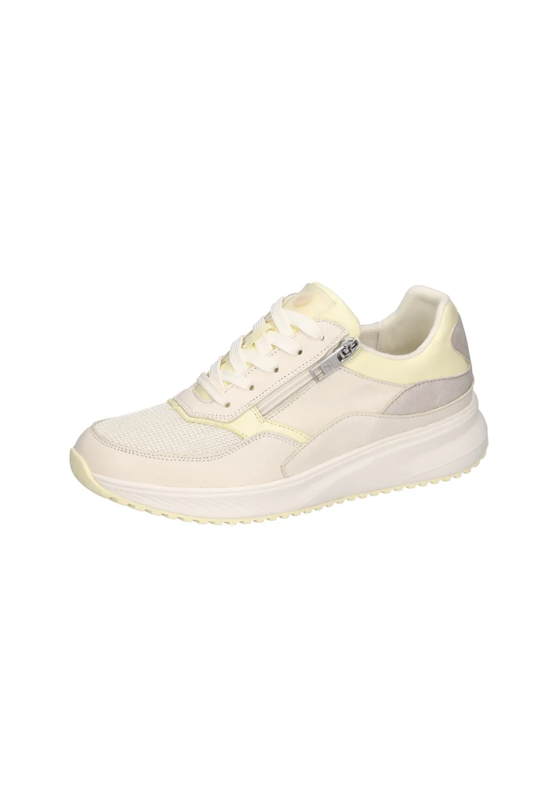 H-Mara offwhite lightyellow rose