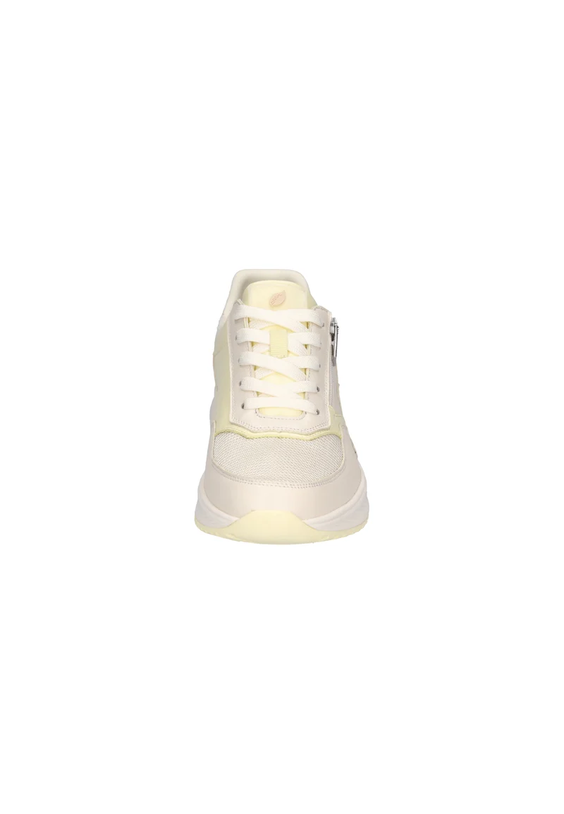 H-Mara offwhite lightyellow rose