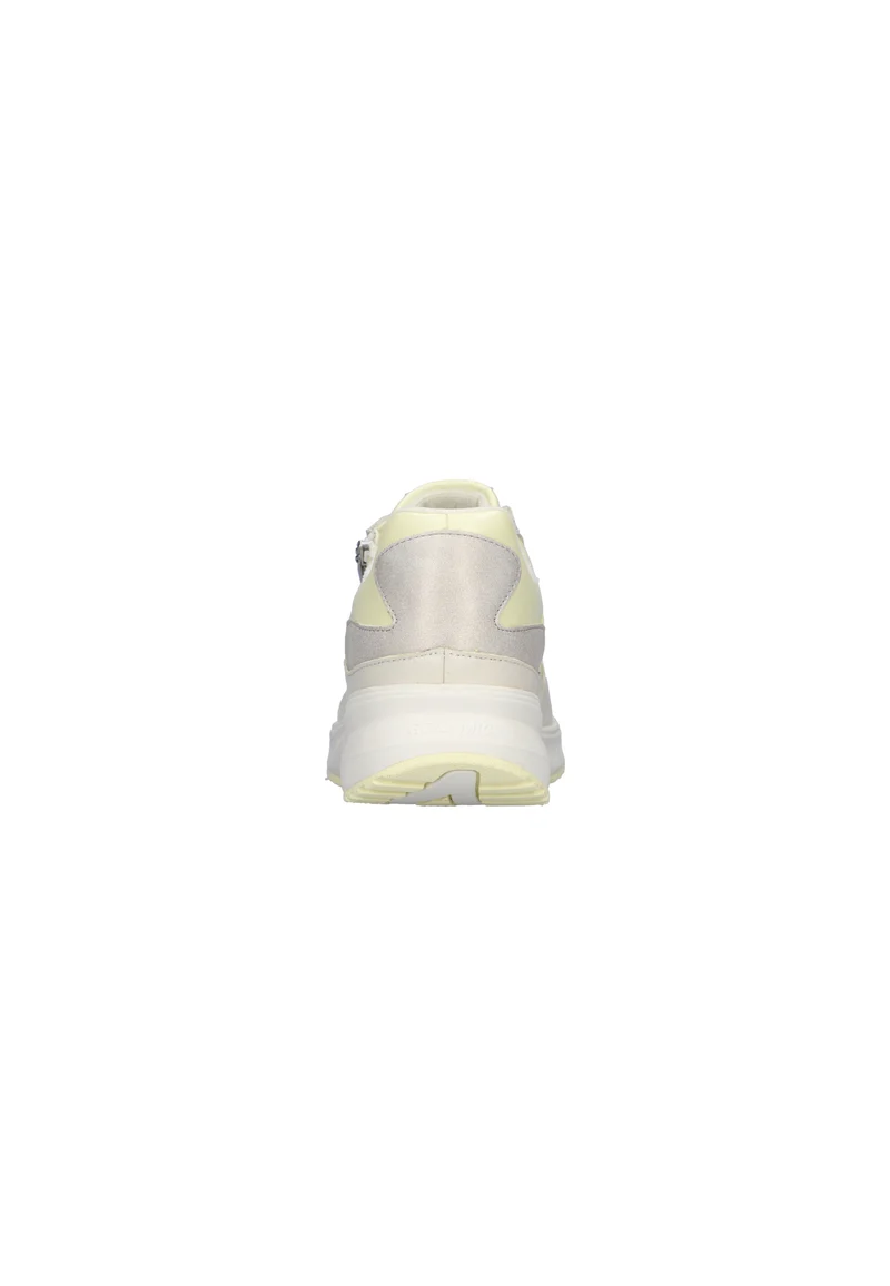 H-Mara offwhite lightyellow rose