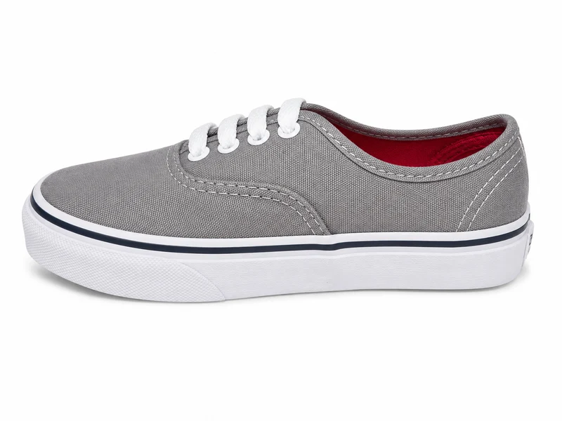 VANS Authentic Kinder-Sneaker | Frostgraue Chili-Pfeffer-Sneaker