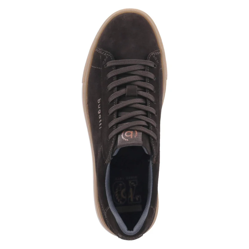 Low Sneaker Braun