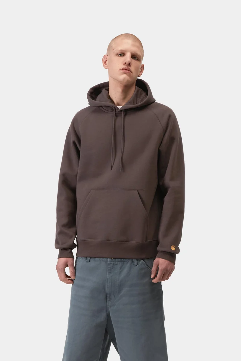 Carhartt WIP Chase Herren-Hoodie | Shale