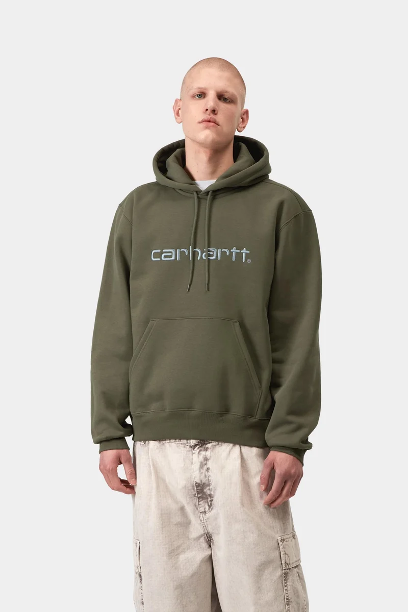 Carhartt WIP Herren Carhartt Kapuzenpullover | Blattturmalin