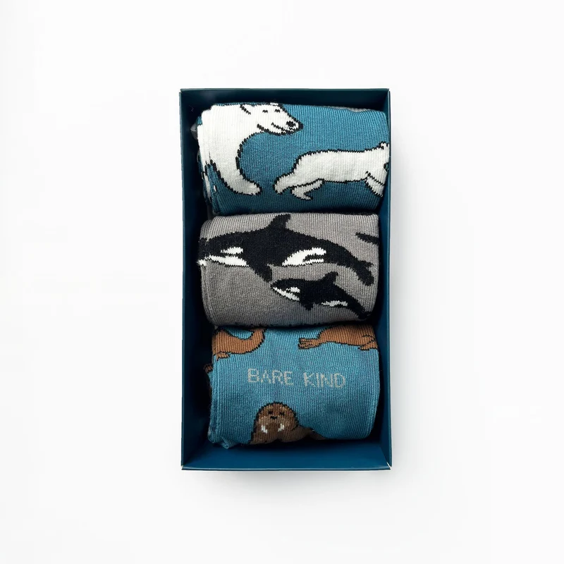 Bare Kind Geschenkbox mit arktischen Bambussocken | 3er-Pack