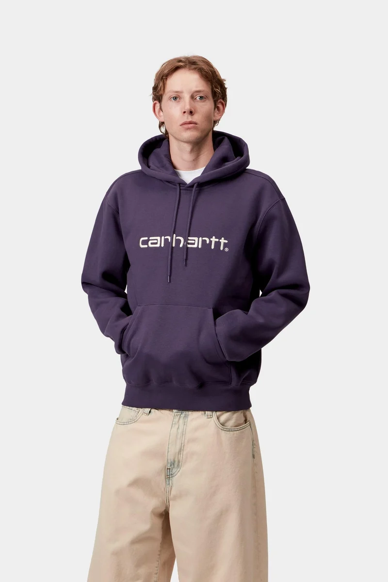 Carhartt WIP Herren Carhartt Hoodie | Lokers / Salt