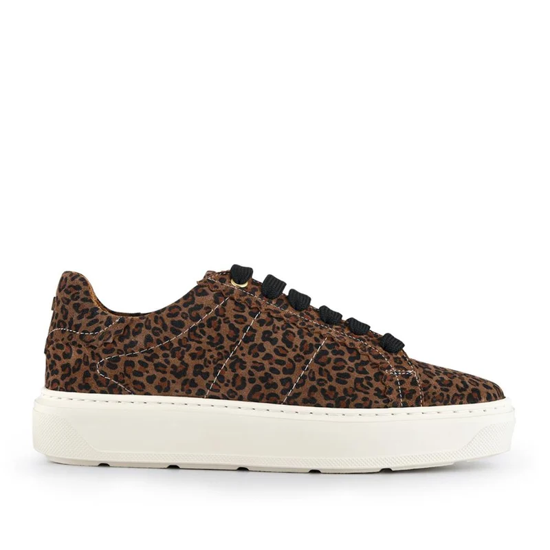 Astra Leather Trainers - ASTRA / 328 533 - Leopard
