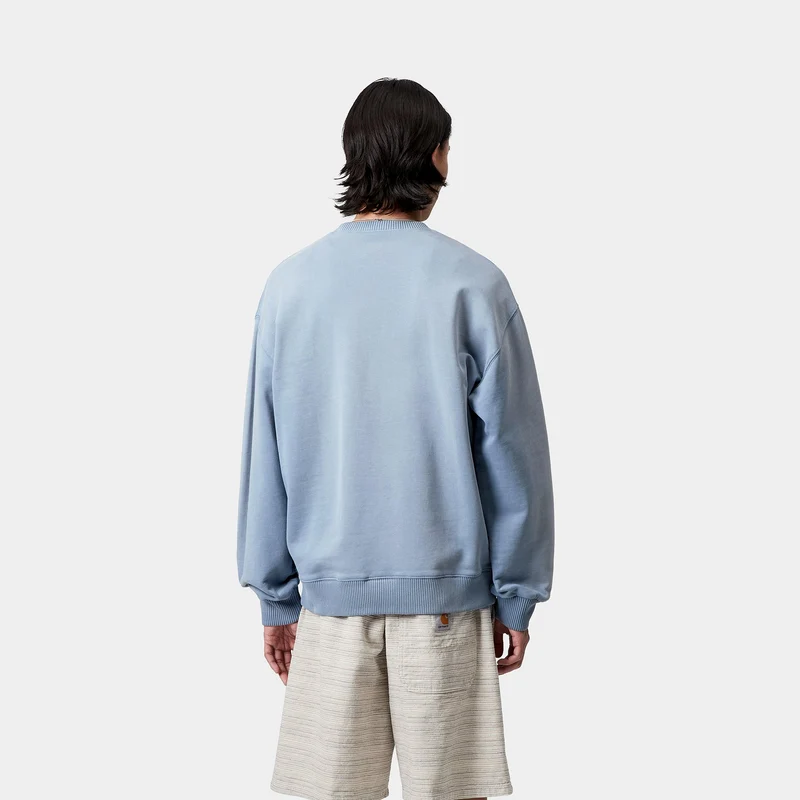 Carhartt WIP Herren Hudson Chalk Wash Sweat Top | Sorrent