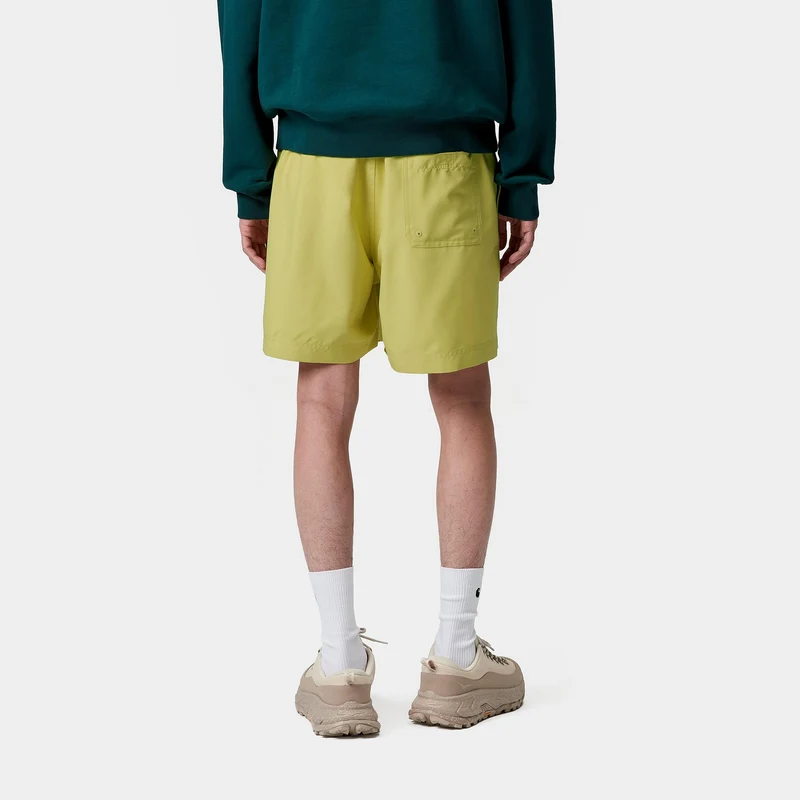 Carhartt WIP Herren Chase Badeshorts | Fandoghi