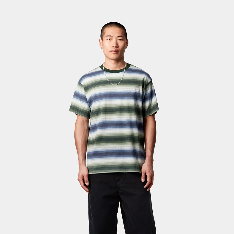 Carhartt WIP Herren Dashner T-Shirt | Park