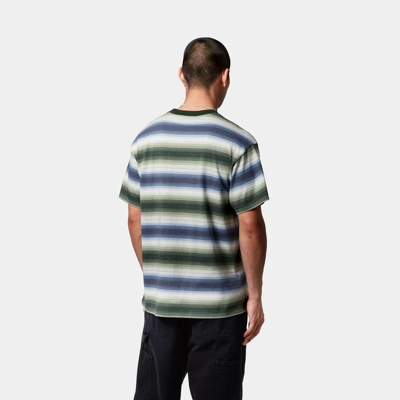 Carhartt WIP Herren Dashner T-Shirt | Park