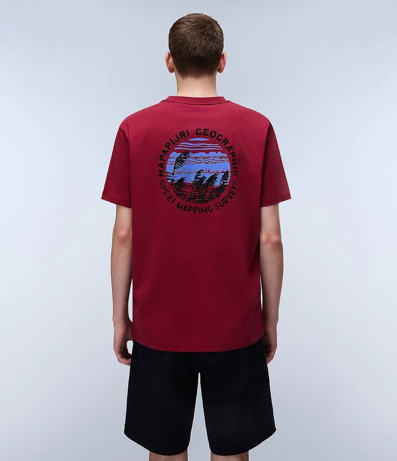 Napapijri Herren-T-Shirt von Vignoni – Tibetrot