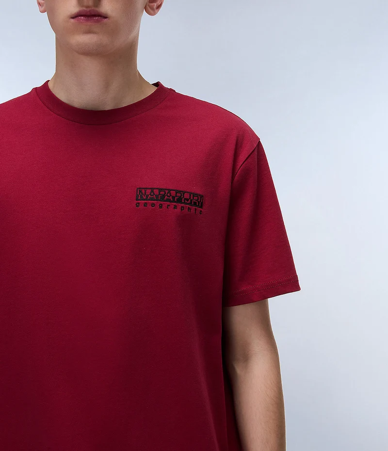 Napapijri Herren-T-Shirt von Vignoni – Tibetrot
