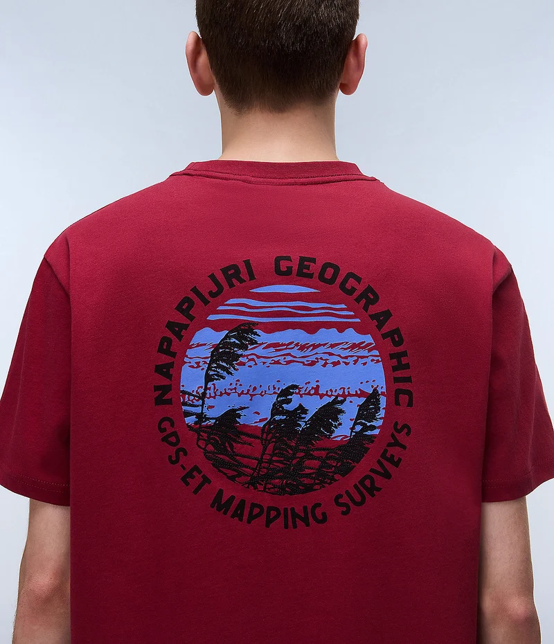 Napapijri Herren-T-Shirt von Vignoni – Tibetrot