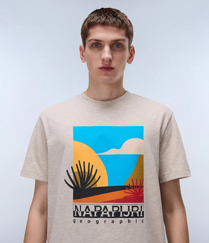Napapijri Arbia Herren-T-Shirt – Federgrau