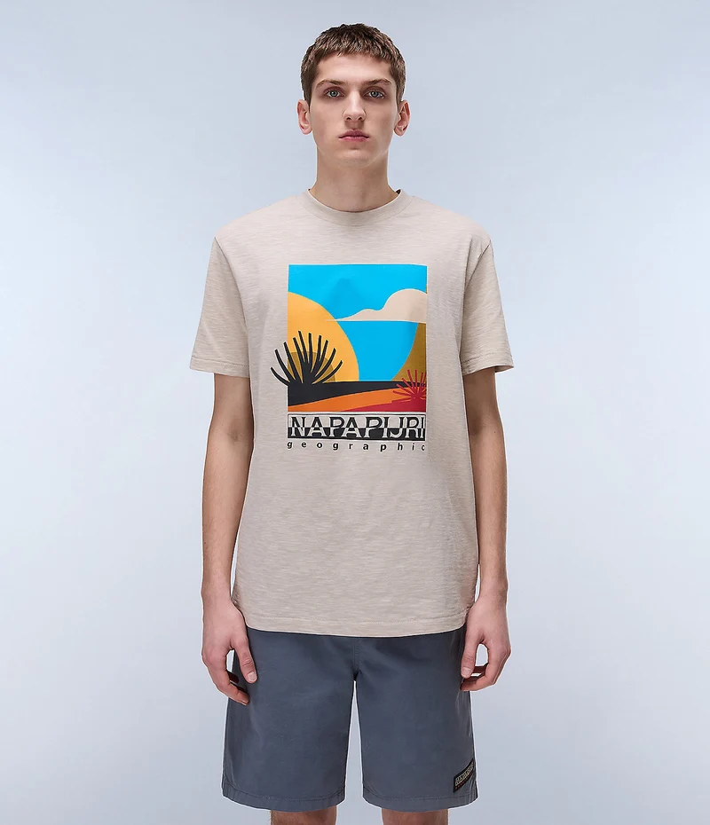 Napapijri Arbia Herren-T-Shirt – Federgrau