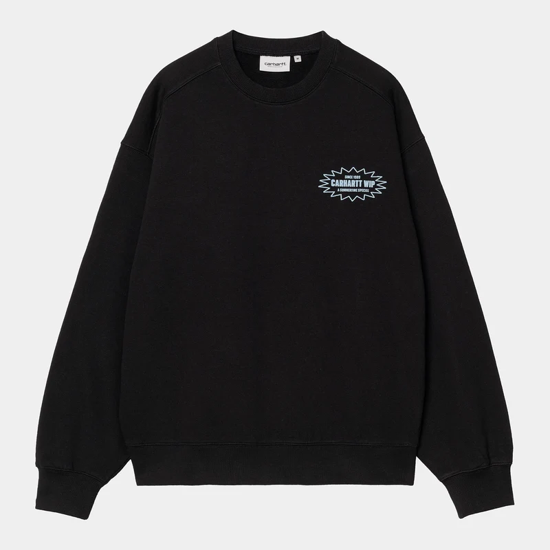 Carhartt WIP Herren-Sweatshirt „Catalogue“ - Schwarz