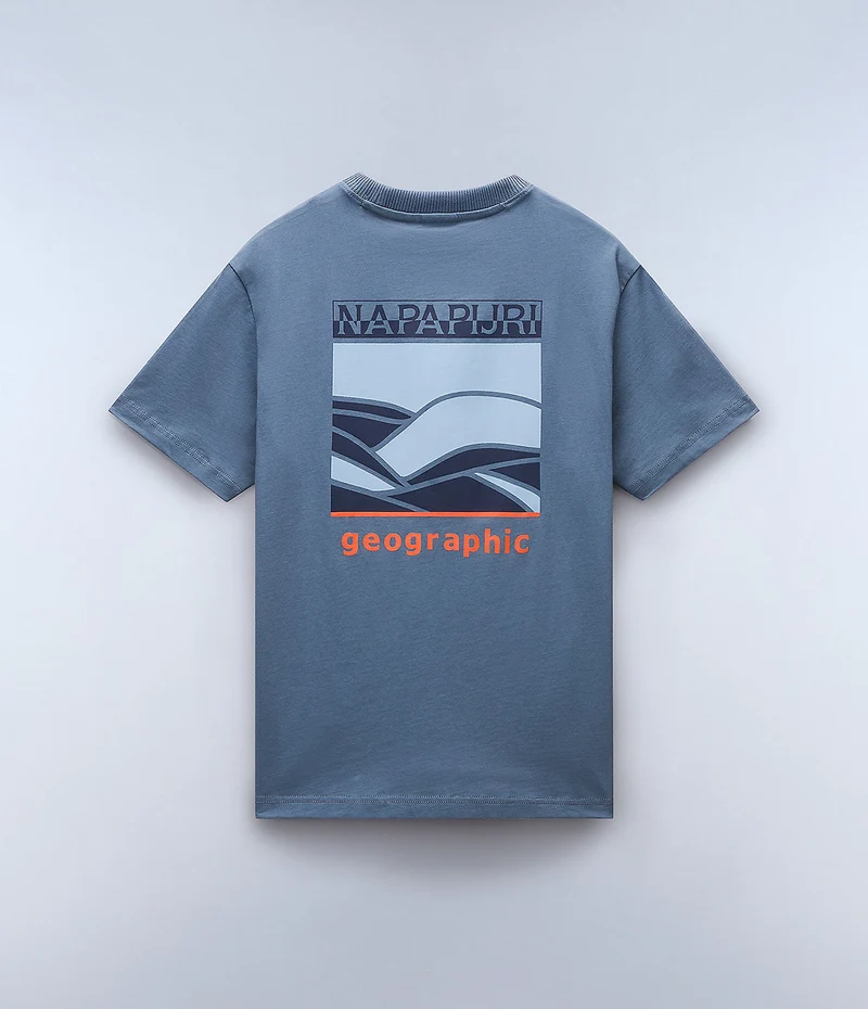 Napapijri Sovana Herren-T-Shirt – Grau