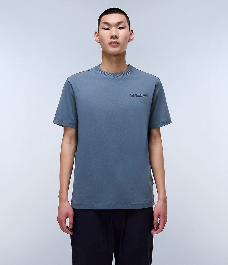 Napapijri Sovana Herren-T-Shirt – Grau