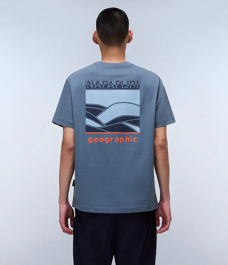 Napapijri Sovana Herren-T-Shirt – Grau