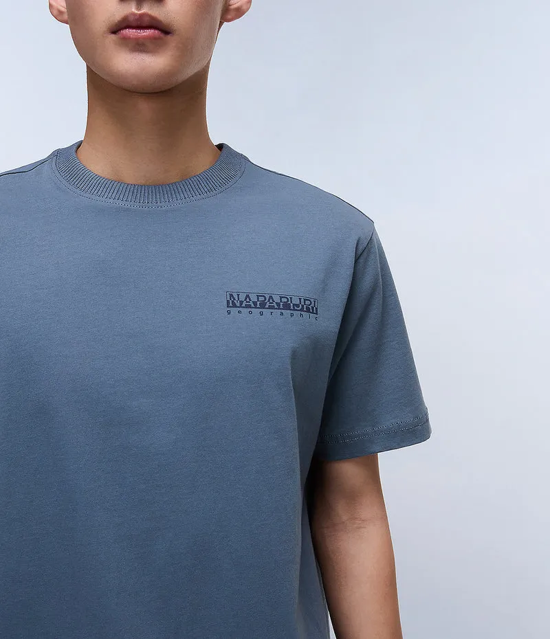 Napapijri Sovana Herren-T-Shirt – Grau