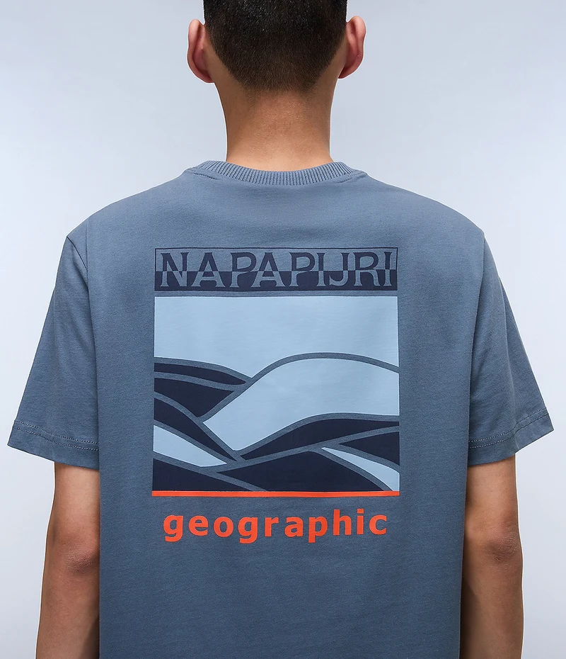 Napapijri Sovana Herren-T-Shirt – Grau