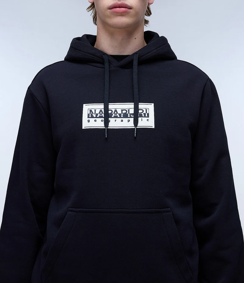 Napapijri Herren-Hoodie mit Box-Logo – Schwarz