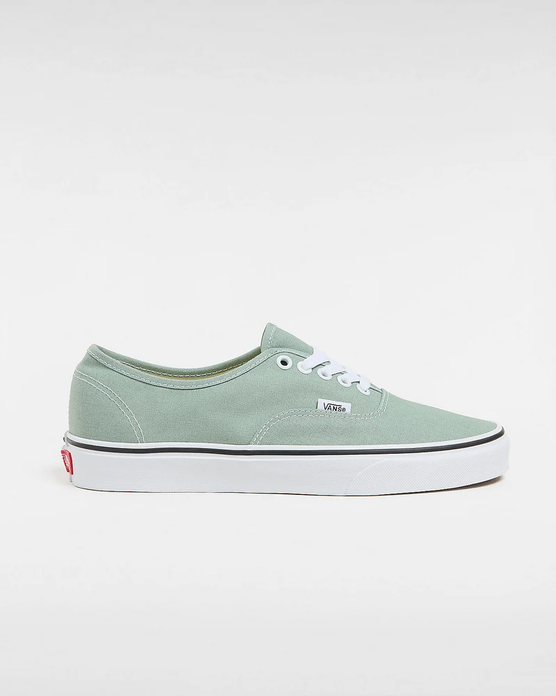 VANS Authentische Unisex-Sneaker von Color Theory – Eisberggrün
