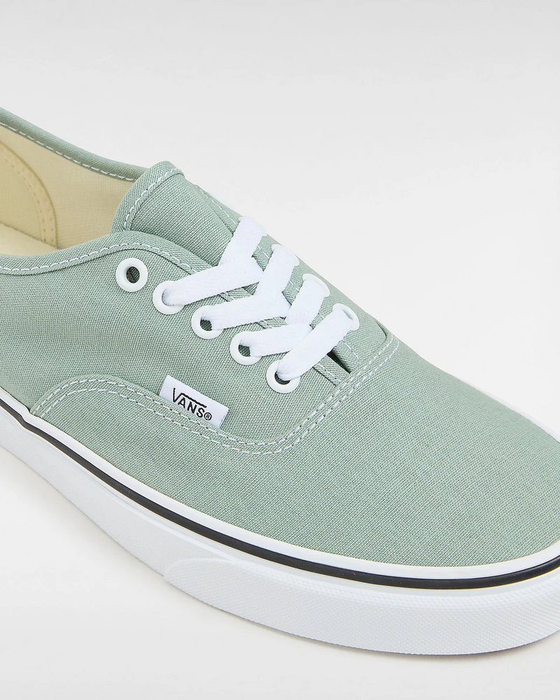VANS Authentische Unisex-Sneaker von Color Theory – Eisberggrün