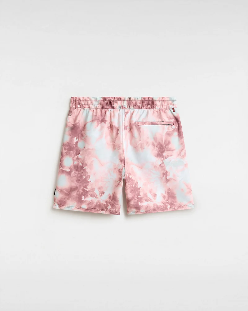 VANS Herren-Boardshorts mit Primärdruck – Russet Brown