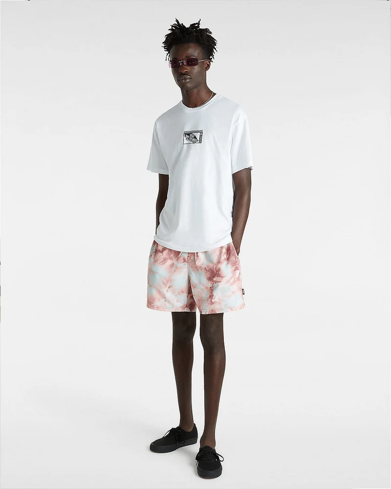 VANS Herren-Boardshorts mit Primärdruck – Russet Brown