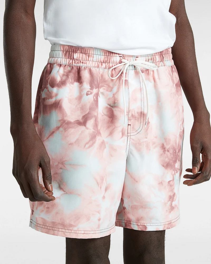 VANS Herren-Boardshorts mit Primärdruck – Russet Brown