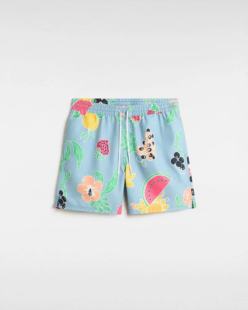 VANS Herren-Boardshorts mit Primärdruck – Dusty Blue