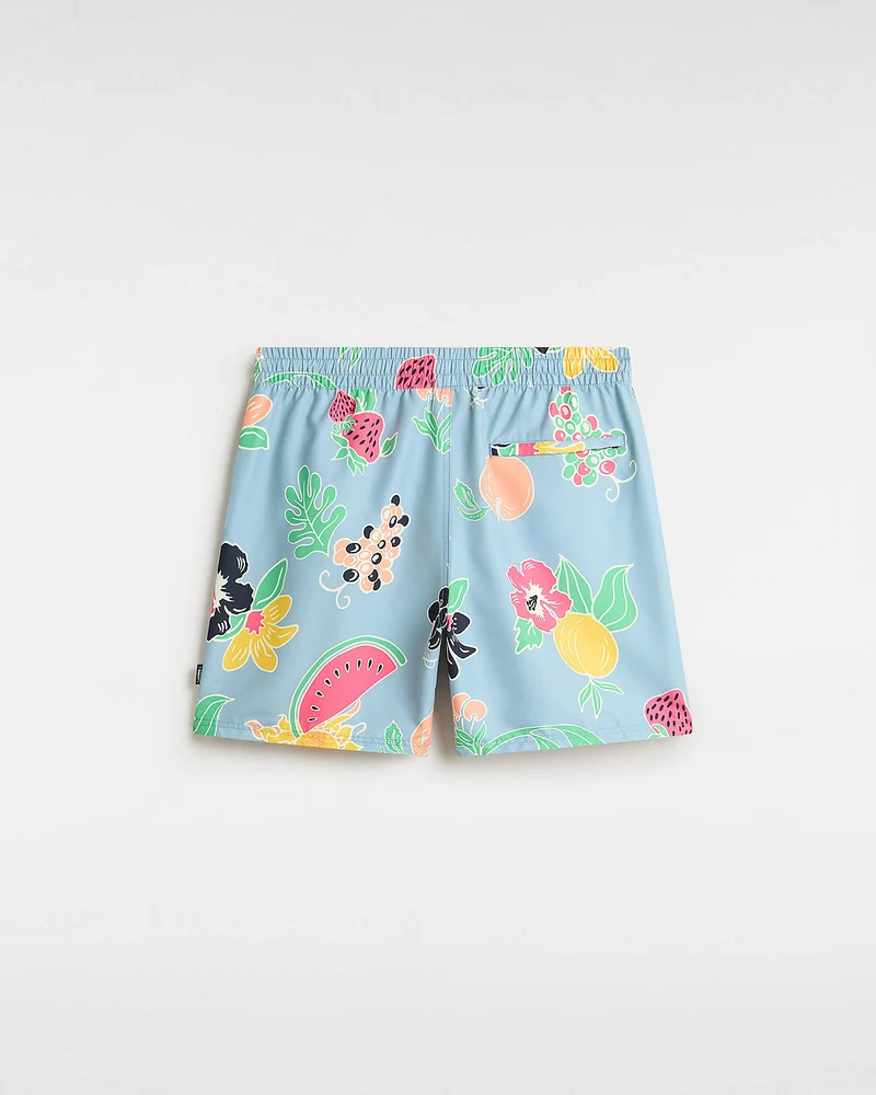 VANS Herren-Boardshorts mit Primärdruck – Dusty Blue