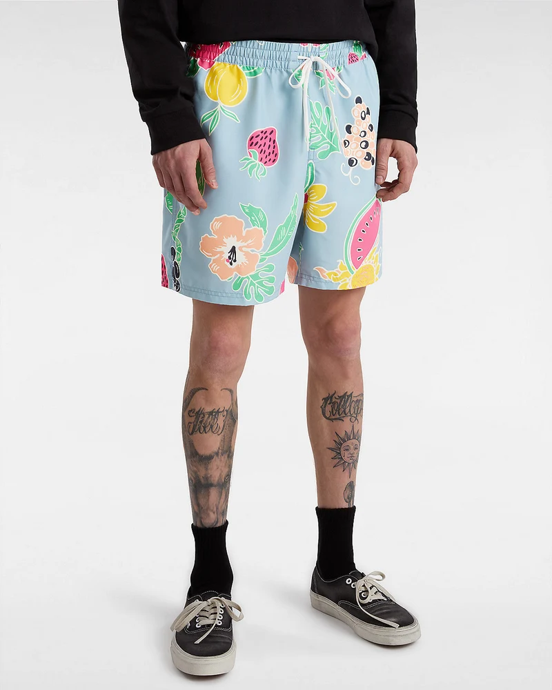 VANS Herren-Boardshorts mit Primärdruck – Dusty Blue
