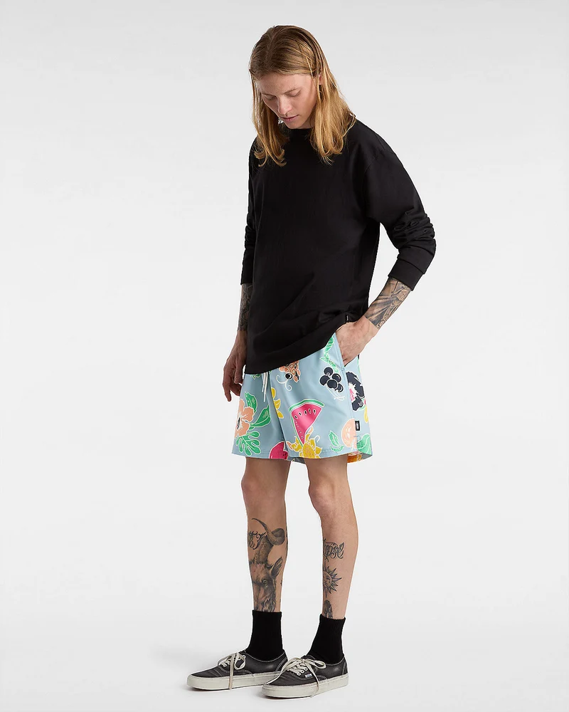 VANS Herren-Boardshorts mit Primärdruck – Dusty Blue