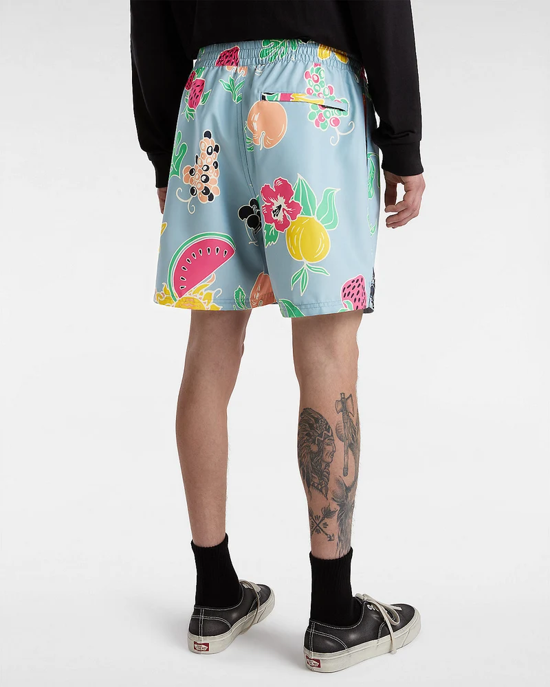 VANS Herren-Boardshorts mit Primärdruck – Dusty Blue