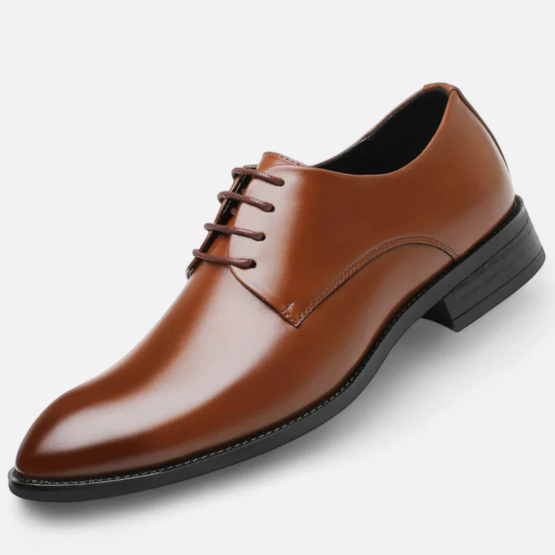 Landoe | Klassische Business-Schuhe mit glattem Leder-Look