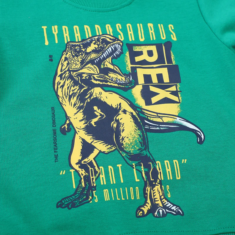 Unisex Sweatshirt Drune