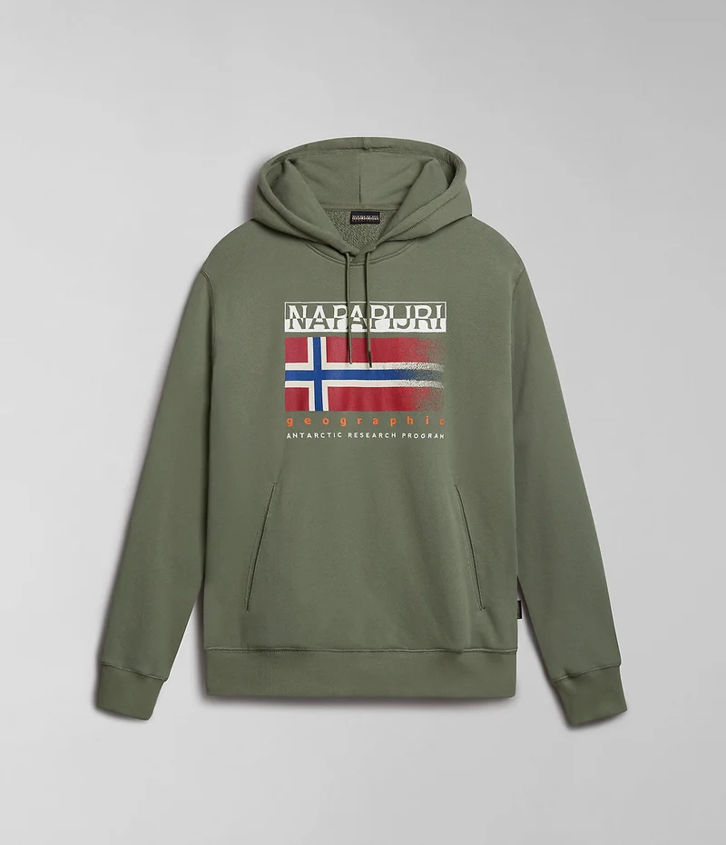 Napapijri Kreis Herren-Hoodie – Grün