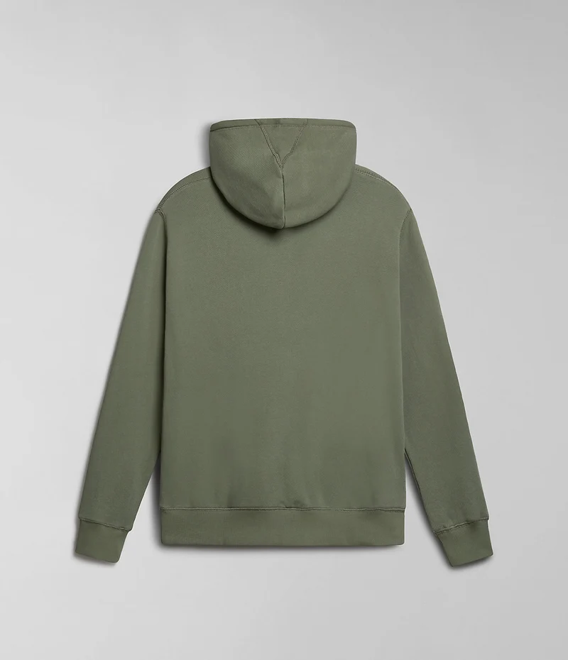 Napapijri Kreis Herren-Hoodie – Grün