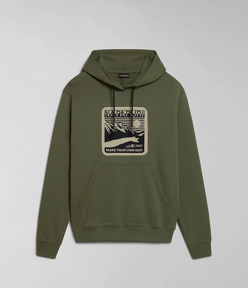 Napapijri Boyd Herren-Hoodie – Grün