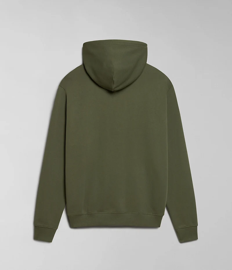Napapijri Boyd Herren-Hoodie – Grün
