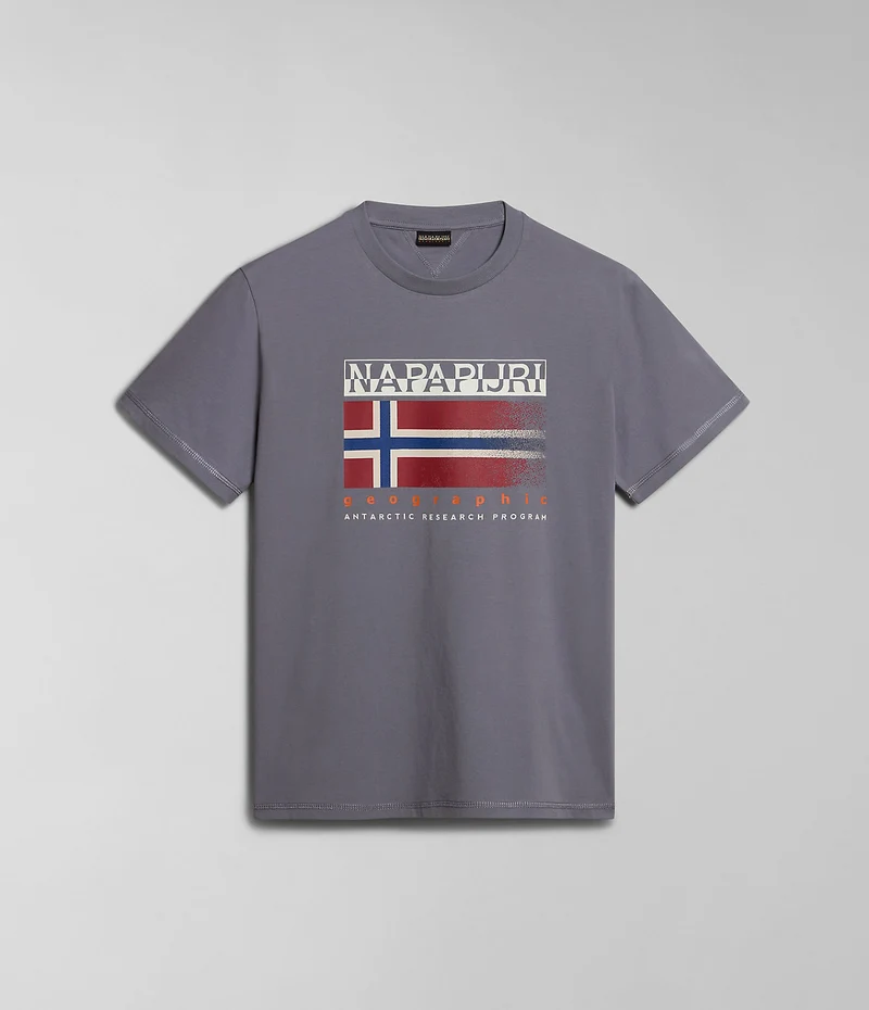 Napapijri Kreis Herren-T-Shirt – Graue Eule